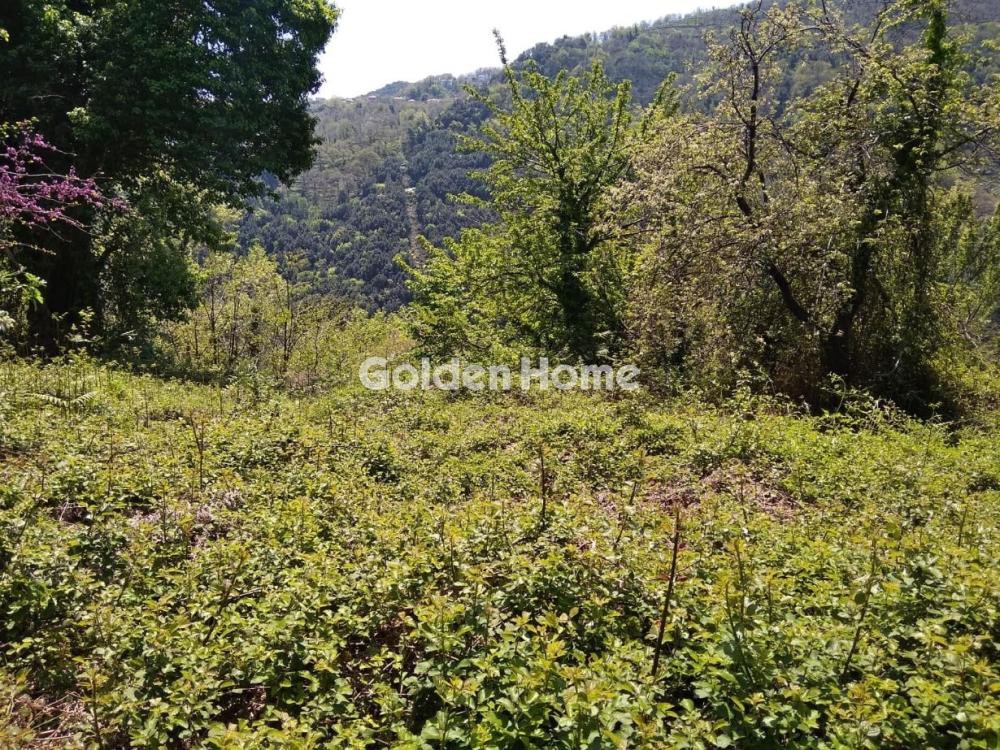 Οικόπεδο 4.454 τ.μ. πρός πώληση, Μαγνησία, Μούρεσι