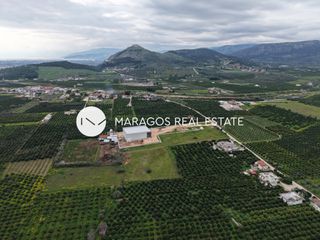 Αγροτεμάχια 11.000 τ.μ. για πώληση, Αργολίδα, Άργος-thumb-21