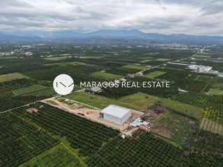 Αγροτεμάχια 11.000 τ.μ. για πώληση, Αργολίδα, Άργος-thumb-11