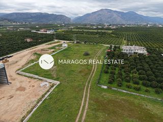 Αγροτεμάχια 11.000 τ.μ. για πώληση, Αργολίδα, Άργος-thumb-18