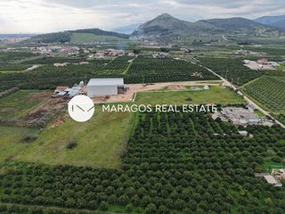 Αγροτεμάχια 11.000 τ.μ. για πώληση, Αργολίδα, Άργος-thumb-10