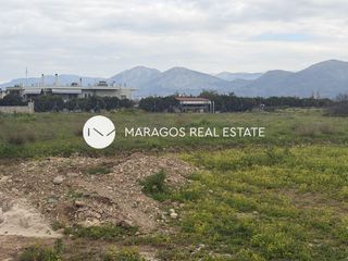 Αγροτεμάχια 11.000 τ.μ. για πώληση, Αργολίδα, Άργος-thumb-9