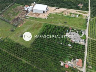 Αγροτεμάχια 11.000 τ.μ. για πώληση, Αργολίδα, Άργος-thumb-20