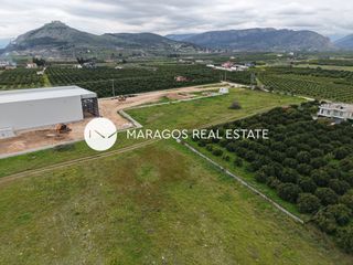 Αγροτεμάχια 11.000 τ.μ. για πώληση, Αργολίδα, Άργος-thumb-15
