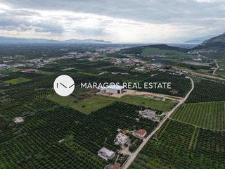 Αγροτεμάχια 11.000 τ.μ. για πώληση, Αργολίδα, Άργος-thumb-16