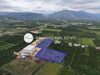 Αγροτεμάχια 11.000 τ.μ. για πώληση, Αργολίδα, Άργος-thumb-2