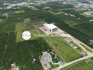 Αγροτεμάχια 11.000 τ.μ. για πώληση, Αργολίδα, Άργος-thumb-19