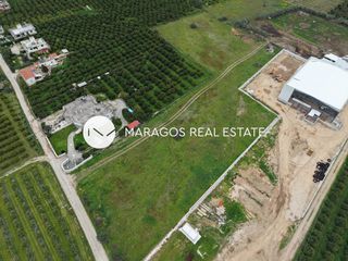 Αγροτεμάχια 11.000 τ.μ. για πώληση, Αργολίδα, Άργος-thumb-8