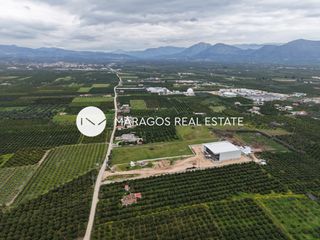 Αγροτεμάχια 11.000 τ.μ. για πώληση, Αργολίδα, Άργος-thumb-7