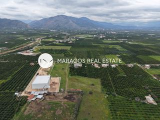 Αγροτεμάχια 11.000 τ.μ. για πώληση, Αργολίδα, Άργος-thumb-22