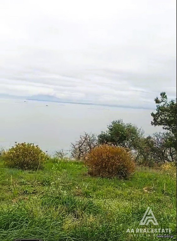 Οικόπεδο 1.630 τ.μ. προς πώληση, Ν. Πιερίας, Μεθώνη