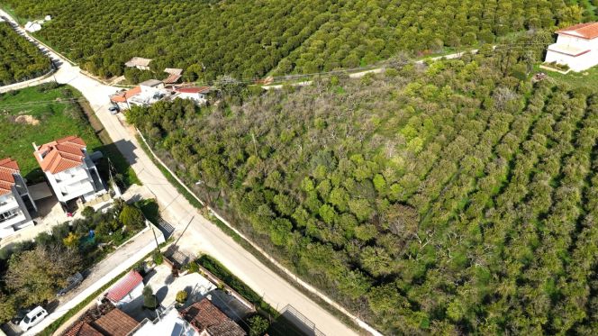 Οικόπεδο 800 τ.μ. για πώληση, Αργολίδα, Άργος