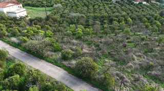 Οικόπεδο 800 τ.μ. για πώληση, Αργολίδα, Άργος-thumb-14