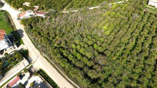Οικόπεδο 800 τ.μ. για πώληση, Αργολίδα, Άργος-thumb-1