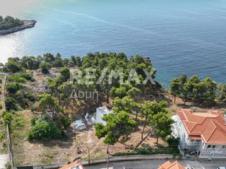 Αγροτεμάχια 14.386 τ.μ. για πώληση