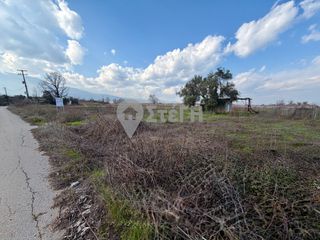 Αγροτεμάχια 3.000 τ.μ. για πώληση