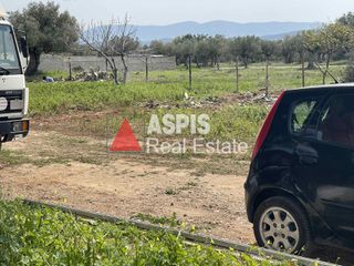 Αποθήκη 500 τ.μ. πρός ενοικίαση, Αττική - Υπόλοιπο, Μέγαρα-thumb-5