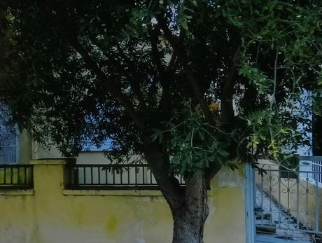 Land plot 177 sqm for sale