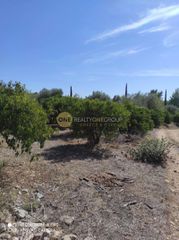 Αγροτεμάχια 6.500 τ.μ. για πώληση, Αργολίδα, Ναύπλιο-thumb-1