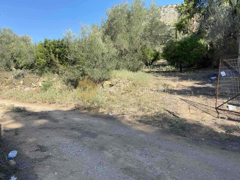 Αγροτεμάχια 6.500 τ.μ. προς πώληση, Παληοχώρα Ναυπλίου