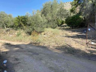 Αγροτεμάχια 6.500 τ.μ. για πώληση, Αργολίδα, Ναύπλιο-thumb-3