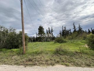 Οικόπεδο 1.300 τ.μ. για πώληση, Αργολίδα, Κρανίδι-thumb-8