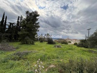 Οικόπεδο 1.300 τ.μ. για πώληση, Αργολίδα, Κρανίδι-thumb-4