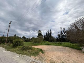 Οικόπεδο 1.300 τ.μ. για πώληση