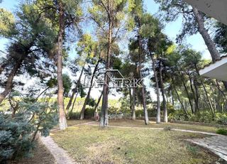 Μονοκατοικία 55 τ.μ. προς ενοικίαση, Σανή-thumb-19
