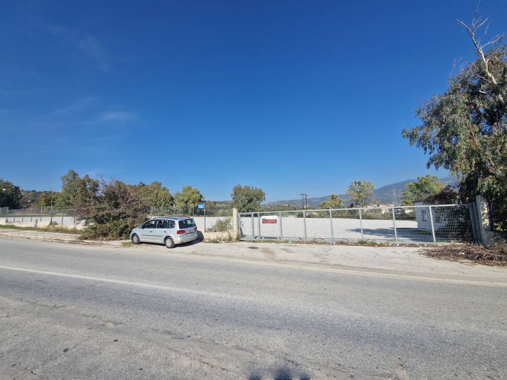 Αγροτεμάχια 9.254 τ.μ. πρός πώληση, Μαγνησία, Νέα Ιωνία Βόλου
