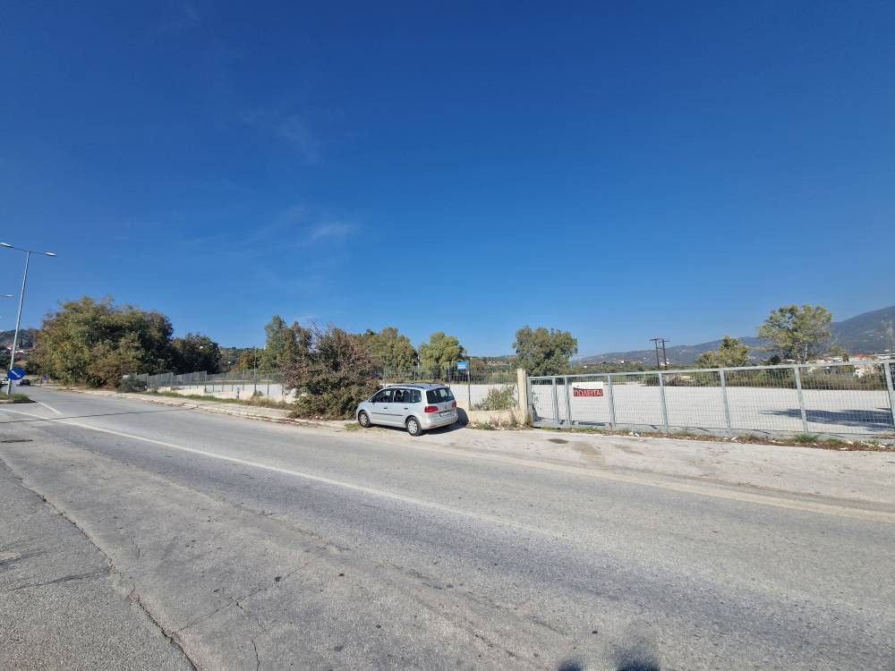 Αγροτεμάχια 9.254 τ.μ. πρός πώληση, Μαγνησία, Νέα Ιωνία Βόλου