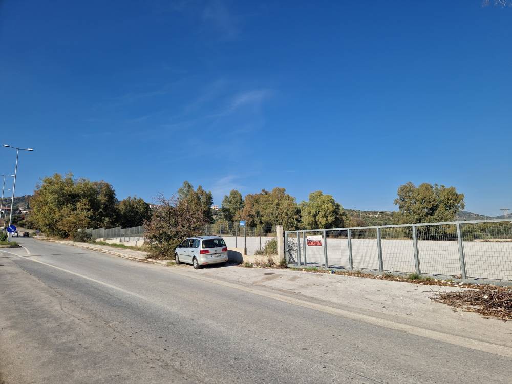 Αγροτεμάχια 9.254 τ.μ. πρός πώληση, Μαγνησία, Νέα Ιωνία Βόλου