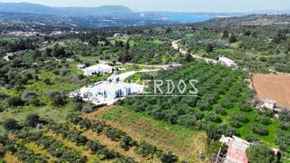 Αγροτεμάχια 2.850 τ.μ. για πώληση
