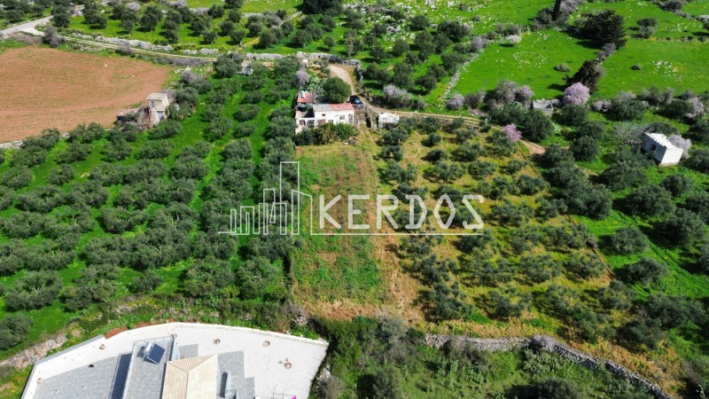 Αγροτεμάχια 2.850 τ.μ. προς πώληση, Κεφαλάς Βάμου