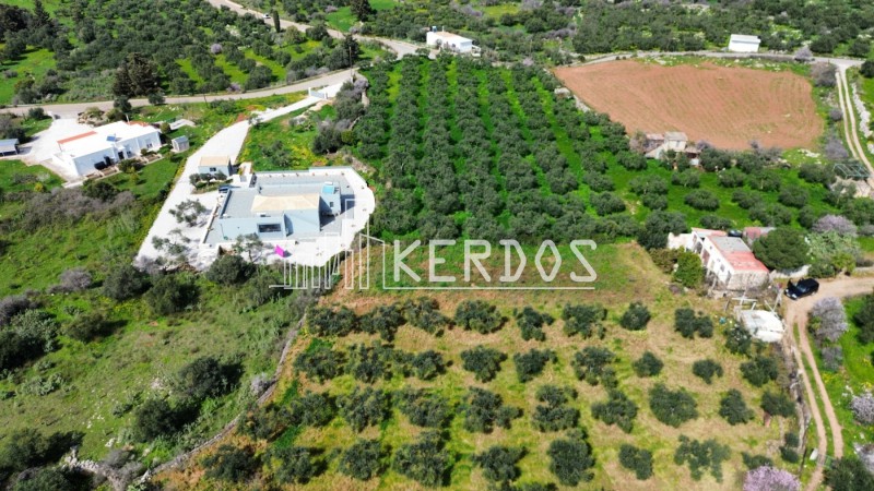 Αγροτεμάχια 2.850 τ.μ. προς πώληση, Κεφαλάς Βάμου