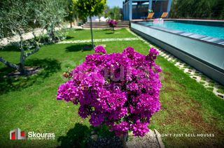 Μονοκατοικία 237 τ.μ. προς πώληση, Γιάλοβα-thumb-21