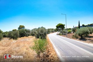 Αγροτεμάχια 5.700 τ.μ. για πώληση, Αργολίδα, Κρανίδι-thumb-11