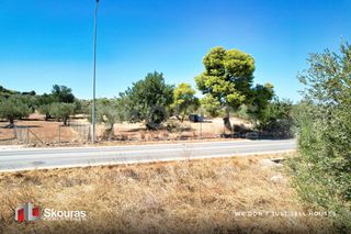 Αγροτεμάχια 5.700 τ.μ. για πώληση, Αργολίδα, Κρανίδι-thumb-12
