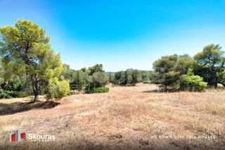 Αγροτεμάχια 5.700 τ.μ. για πώληση, Αργολίδα, Κρανίδι-thumb-14