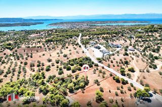 Αγροτεμάχια 5.700 τ.μ. για πώληση