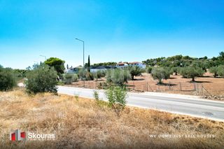Αγροτεμάχια 5.700 τ.μ. για πώληση, Αργολίδα, Κρανίδι-thumb-10