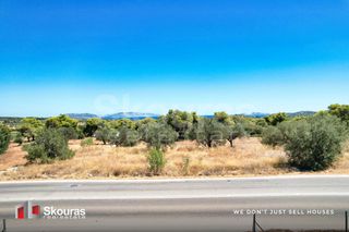 Αγροτεμάχια 5.700 τ.μ. για πώληση, Αργολίδα, Κρανίδι-thumb-8