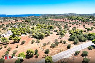 Αγροτεμάχια 5.700 τ.μ. για πώληση, Αργολίδα, Κρανίδι-thumb-5