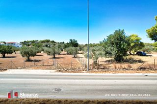 Αγροτεμάχια 5.700 τ.μ. για πώληση, Αργολίδα, Κρανίδι-thumb-23