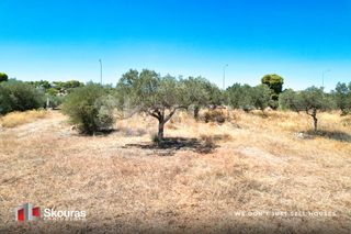 Αγροτεμάχια 5.700 τ.μ. για πώληση, Αργολίδα, Κρανίδι-thumb-16