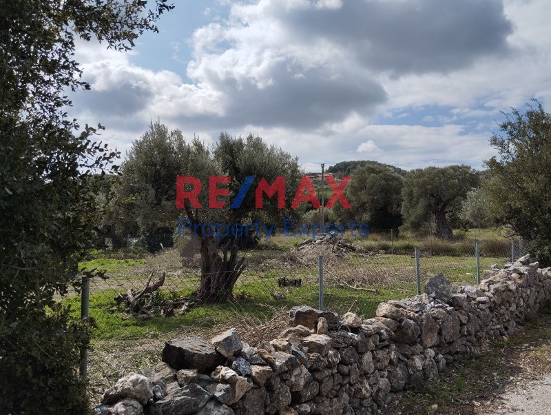 Αγροτεμάχια 2.546 τ.μ. πρός πώληση, Αττική - Υπόλοιπο, Κουβαράς