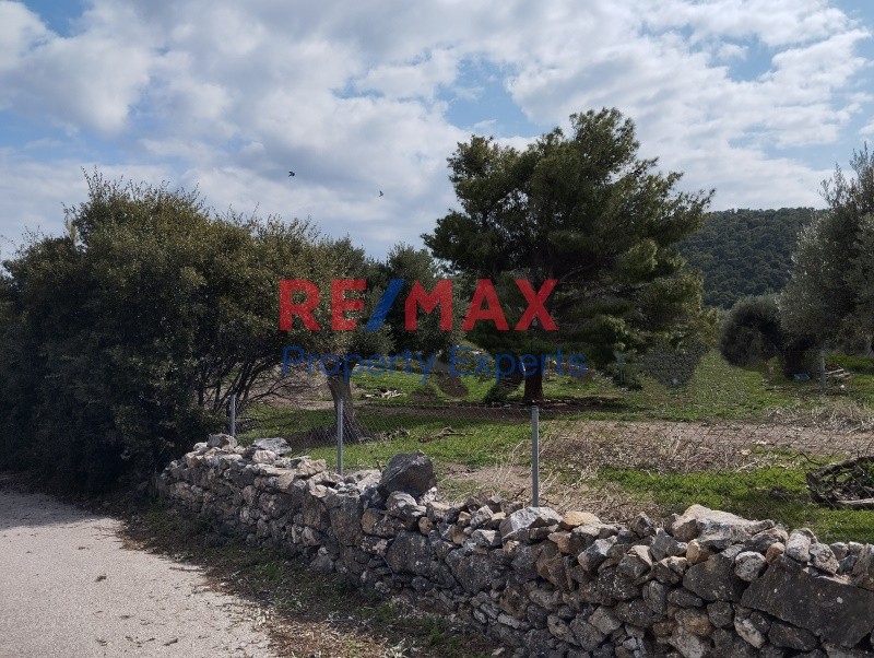 Αγροτεμάχια 2.546 τ.μ. πρός πώληση, Αττική - Υπόλοιπο, Κουβαράς