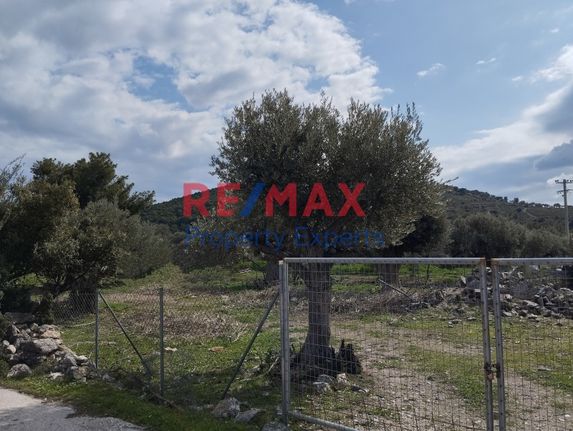 Αγροτεμάχια 2.546 τ.μ. για πώληση, Αττική - Υπόλοιπο, Κουβαράς