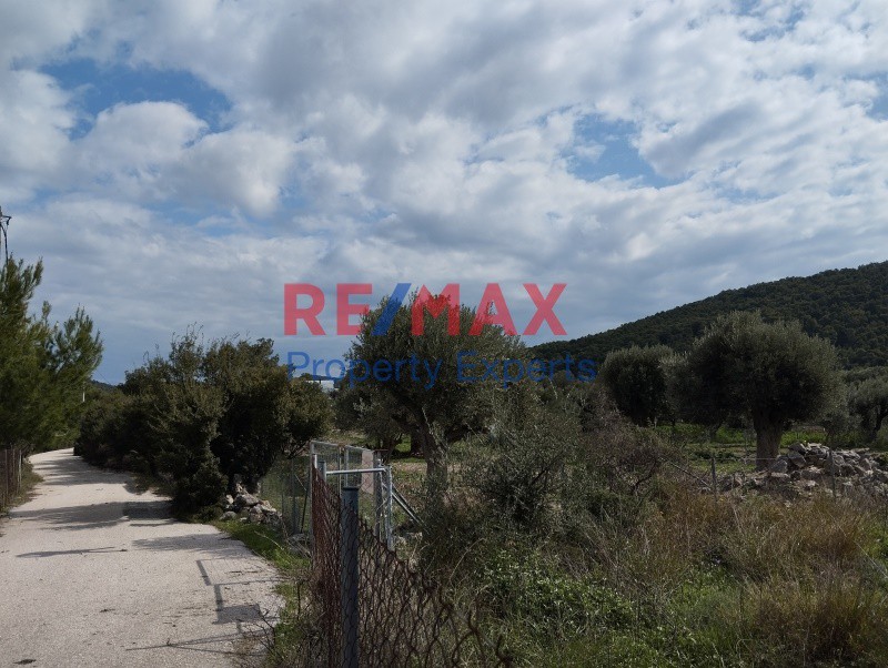 Αγροτεμάχια 2.546 τ.μ. πρός πώληση, Αττική - Υπόλοιπο, Κουβαράς