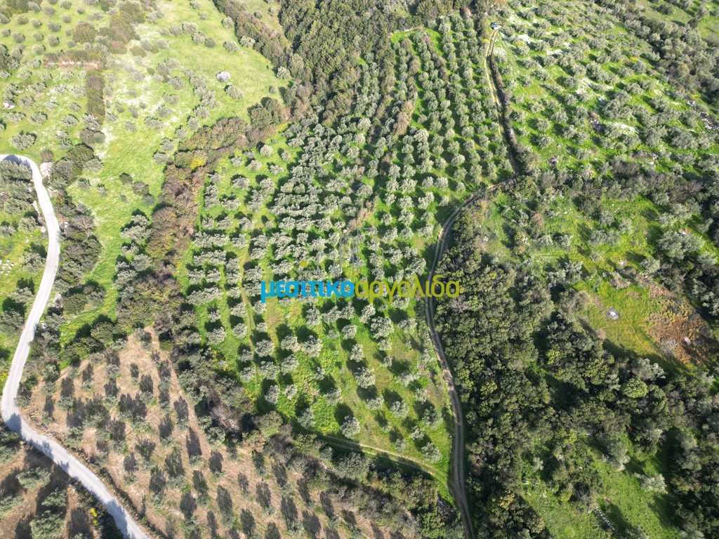 Αγροτεμάχια 20.000 τ.μ. προς πώληση, Αριά Λυρκείας